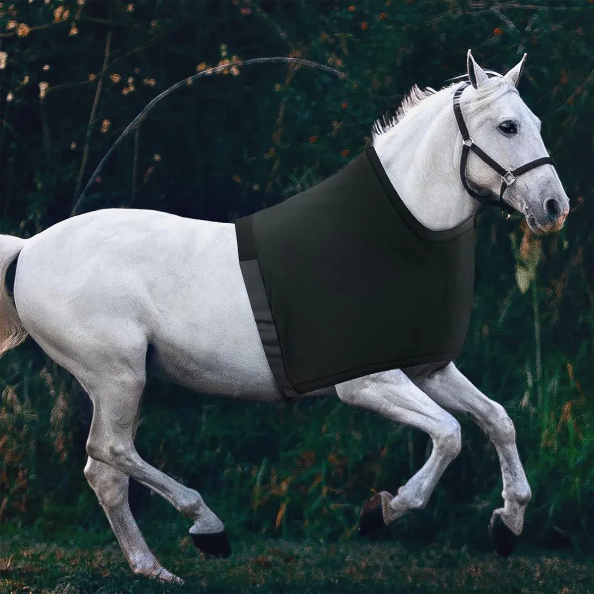 Horse Fly Repellent Vest Back Heart Shape Mesh Cover Breathable Anti Mosquito