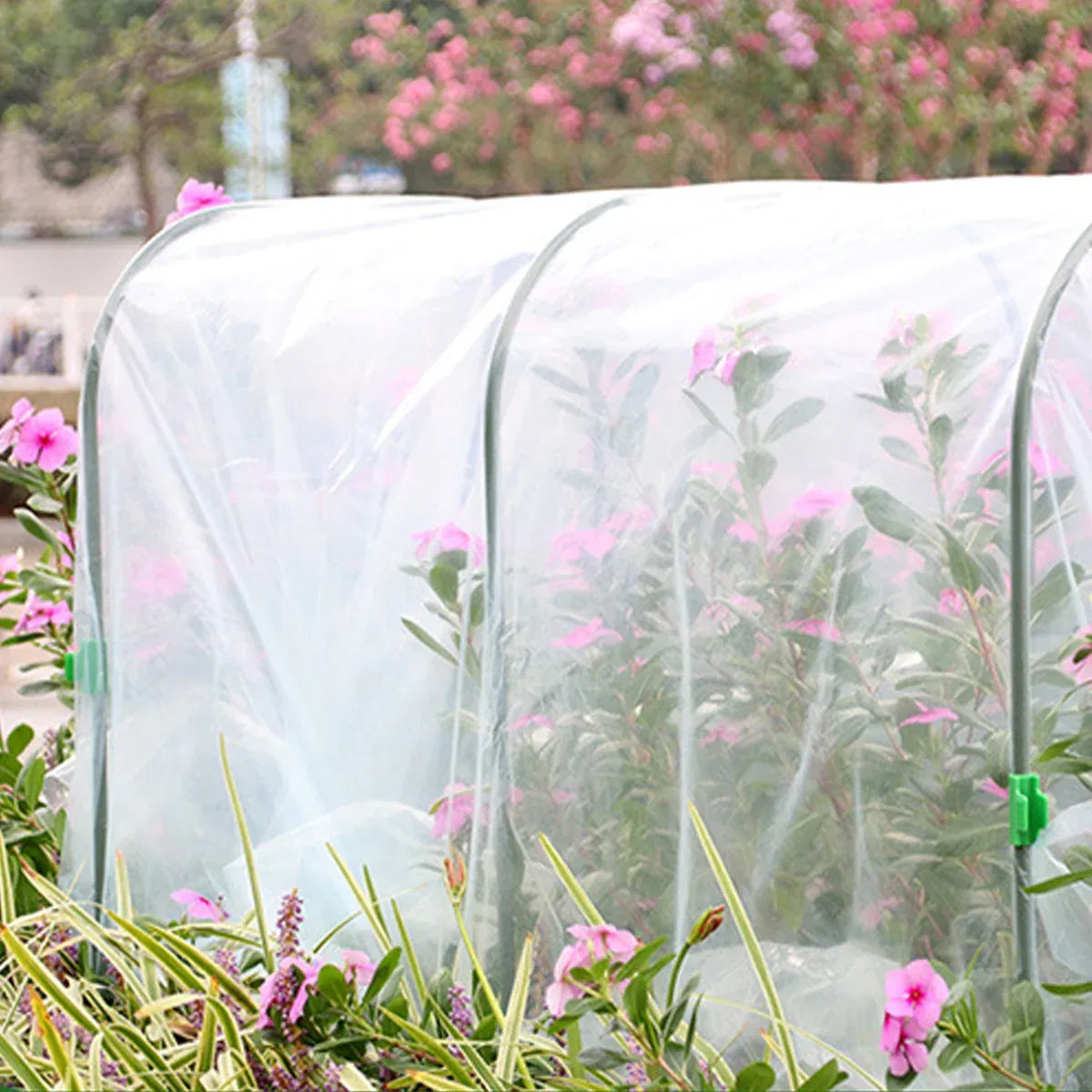 Horticultural Greenhouse Small Size for Plant Flower Vegetable Seedling Home Use