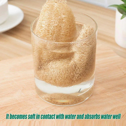 Natural Loofah Sponge Kitchen Scrubber for Dishwashing Pot Cleaning 5 Pack
