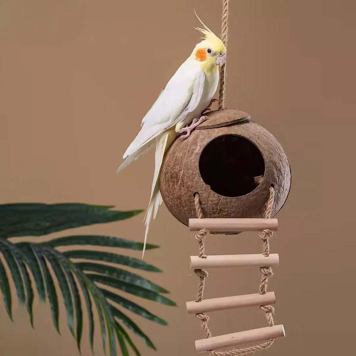 Natural Coconut Bird Nest Cage Pet Parrot Parakeet Safe Hut Feeder Shell Home - Stairs type