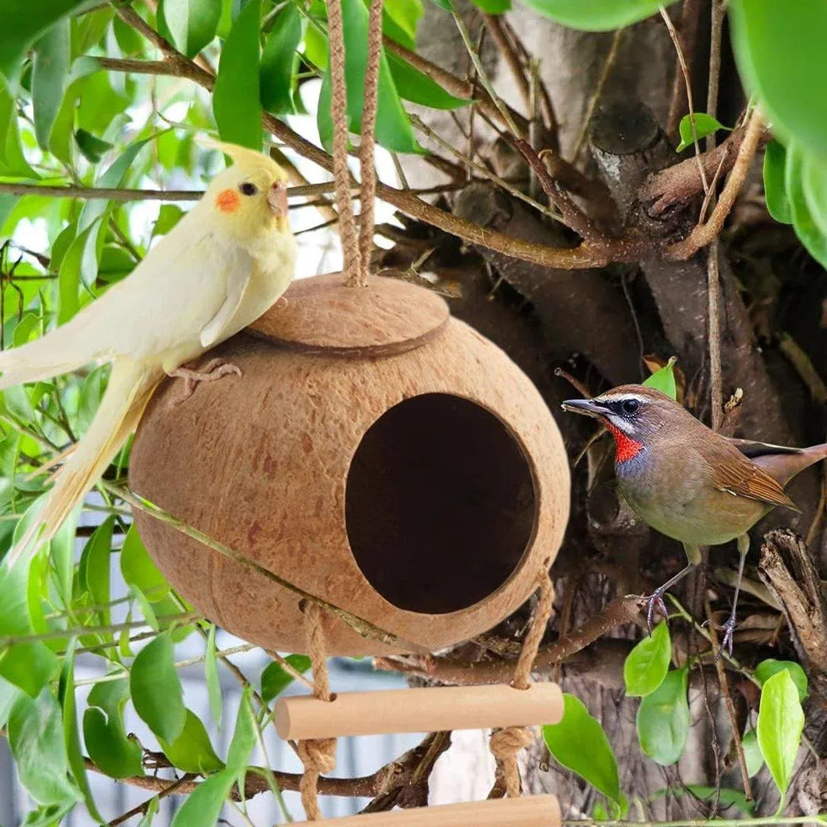 Natural Coconut Bird Nest Cage Pet Parrot Parakeet Safe Hut Feeder Shell Home - Stairs type