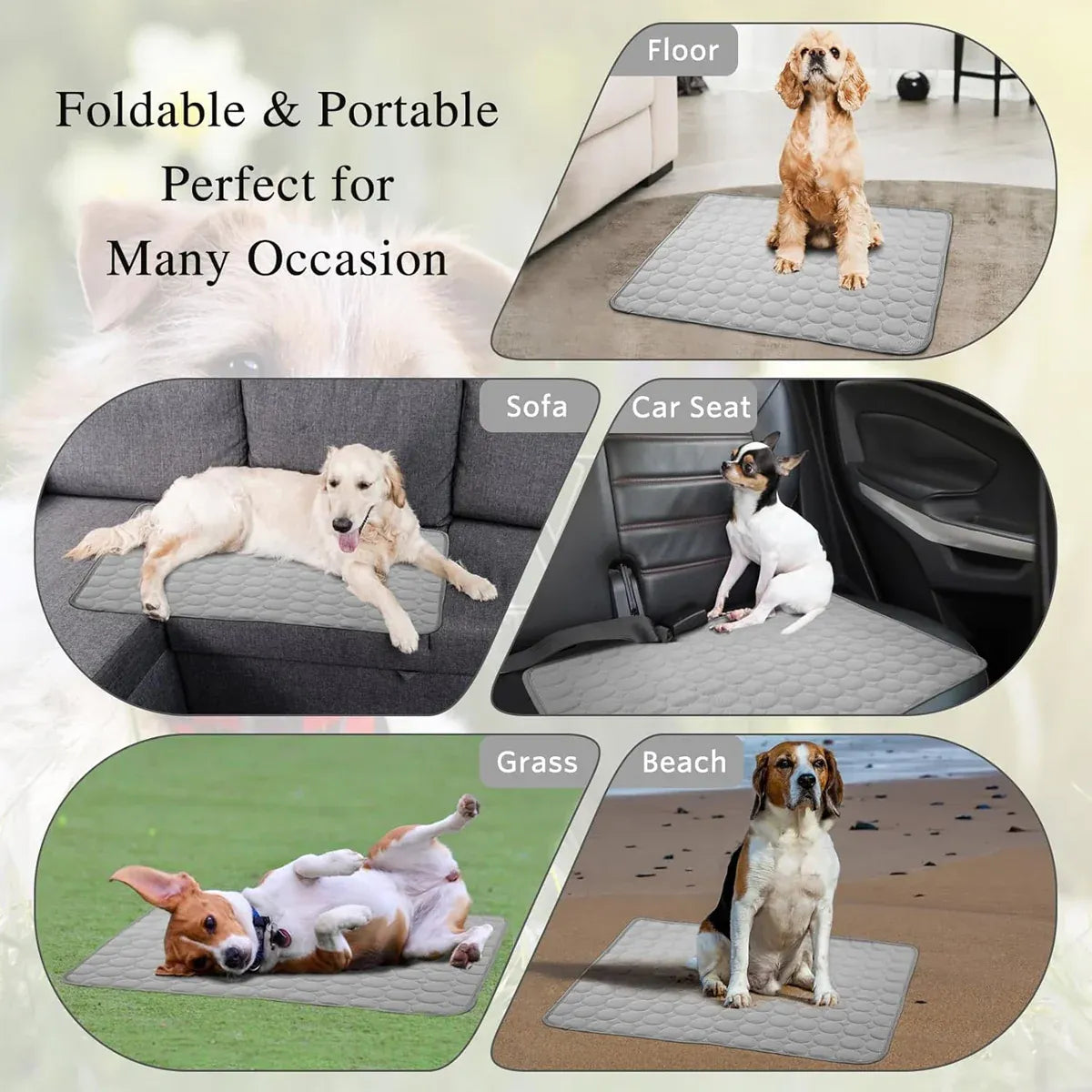 Pet  Sleeping Mat Summer Spring Mat for Dog and Cat Indoor Use - M