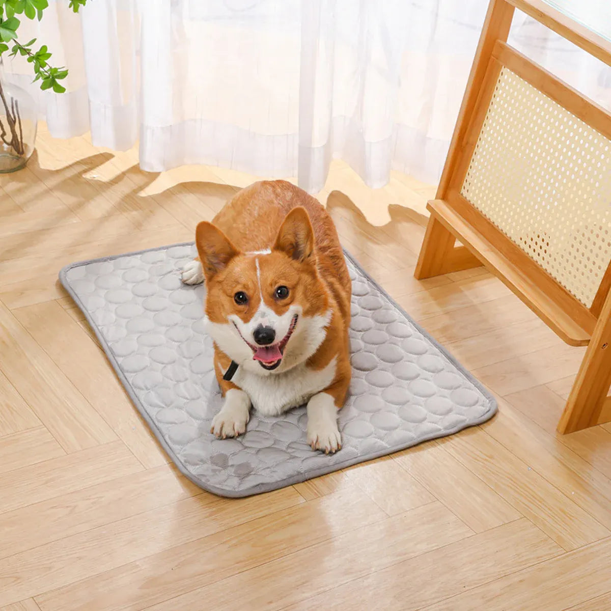 Pet  Sleeping Mat Summer Spring Mat for Dog and Cat Indoor Use - M