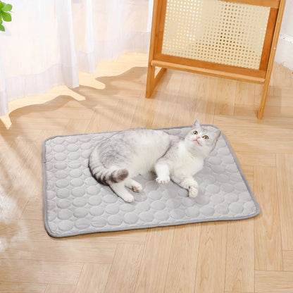 Pet  Sleeping Mat Summer Spring Mat for Dog and Cat Indoor Use - XXL