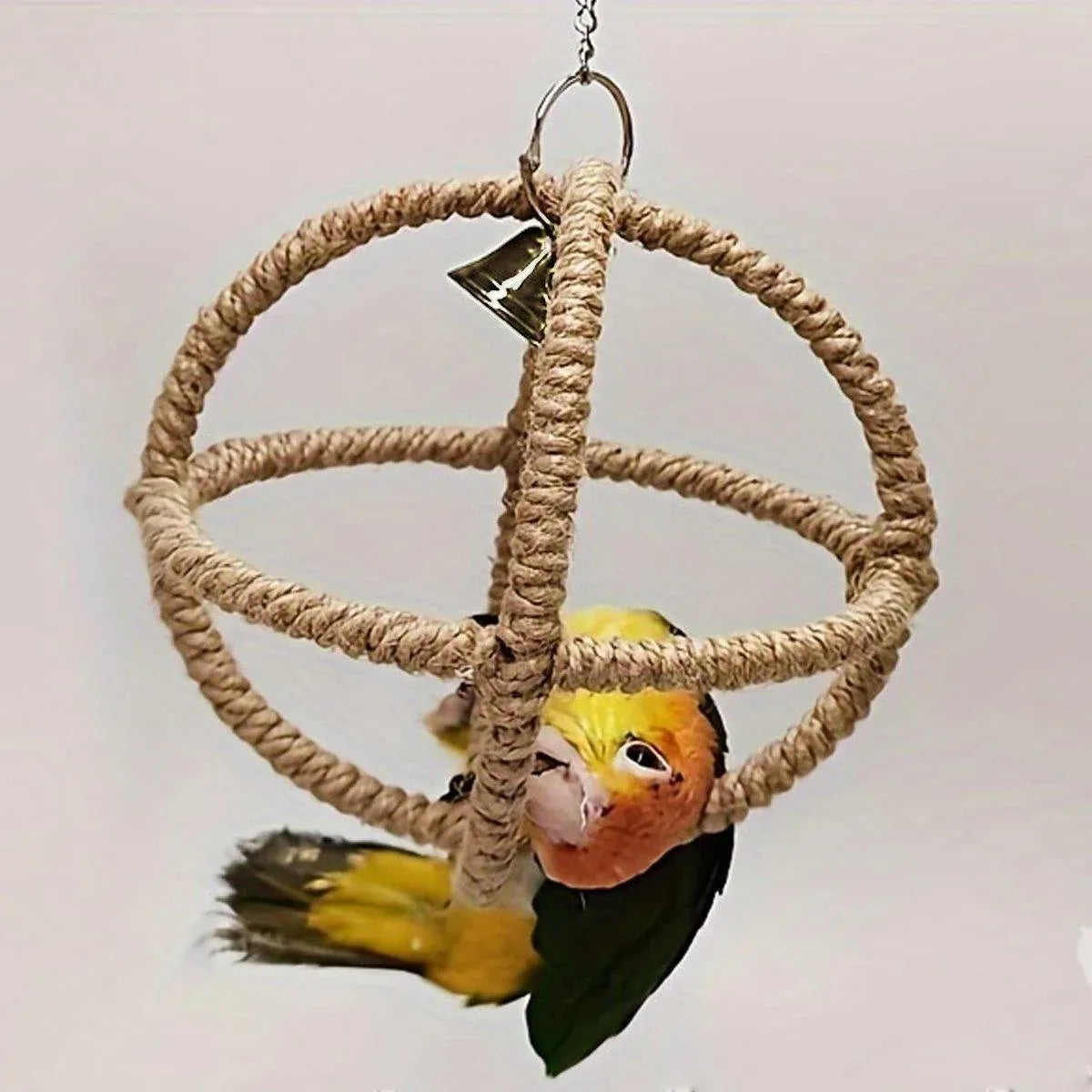 Interactive Parrot Toys Nibbling Balls Hoop Swing Bird Chew Play Activity
