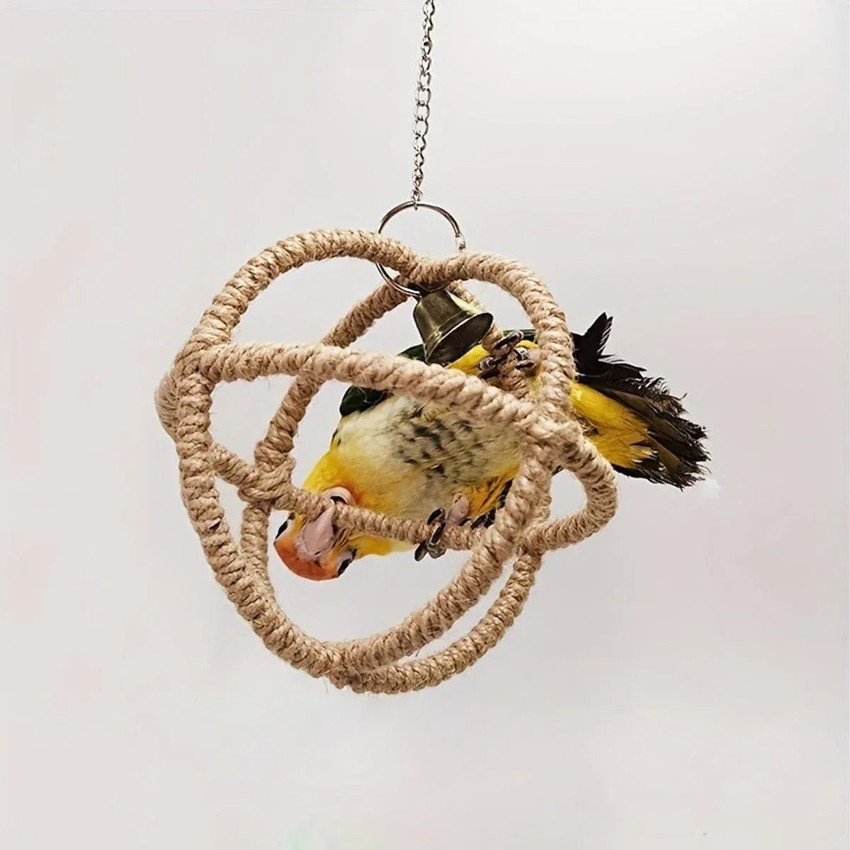 Interactive Parrot Toys Nibbling Balls Hoop Swing Bird Chew Play Activity