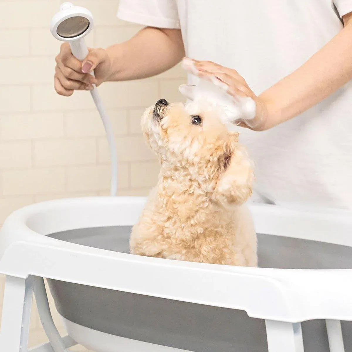 Pet Bath Tub Elevated Stand for Cats and Puppies Portable Bathing Tub for Pets