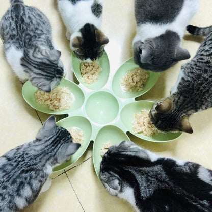 Multi Cat Feeding Bowl Petal Design Kitten Milk Bowl Puppy Dog Food Water Dish - Blue