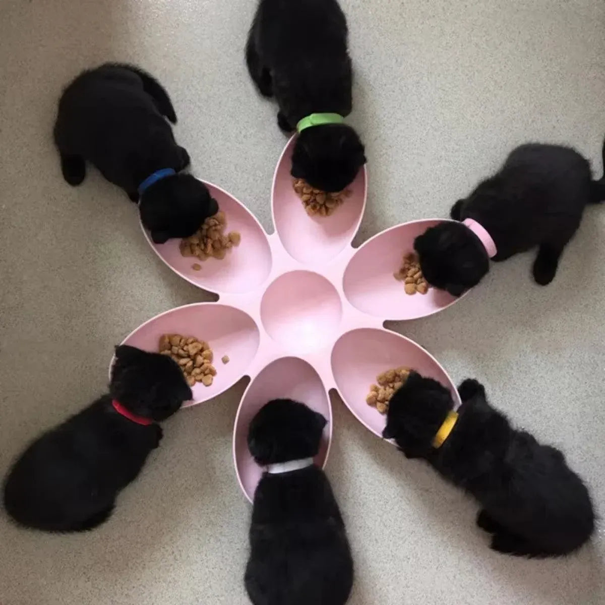 Multi Cat Feeding Bowl Petal Design Kitten Milk Bowl Puppy Dog Food Water Dish - Pink