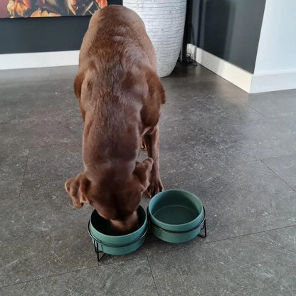 Ceramic Pet Bowl Cat Food Bowl Dog Bowl Drinking Bowl Pet Water Food Dish - Pink