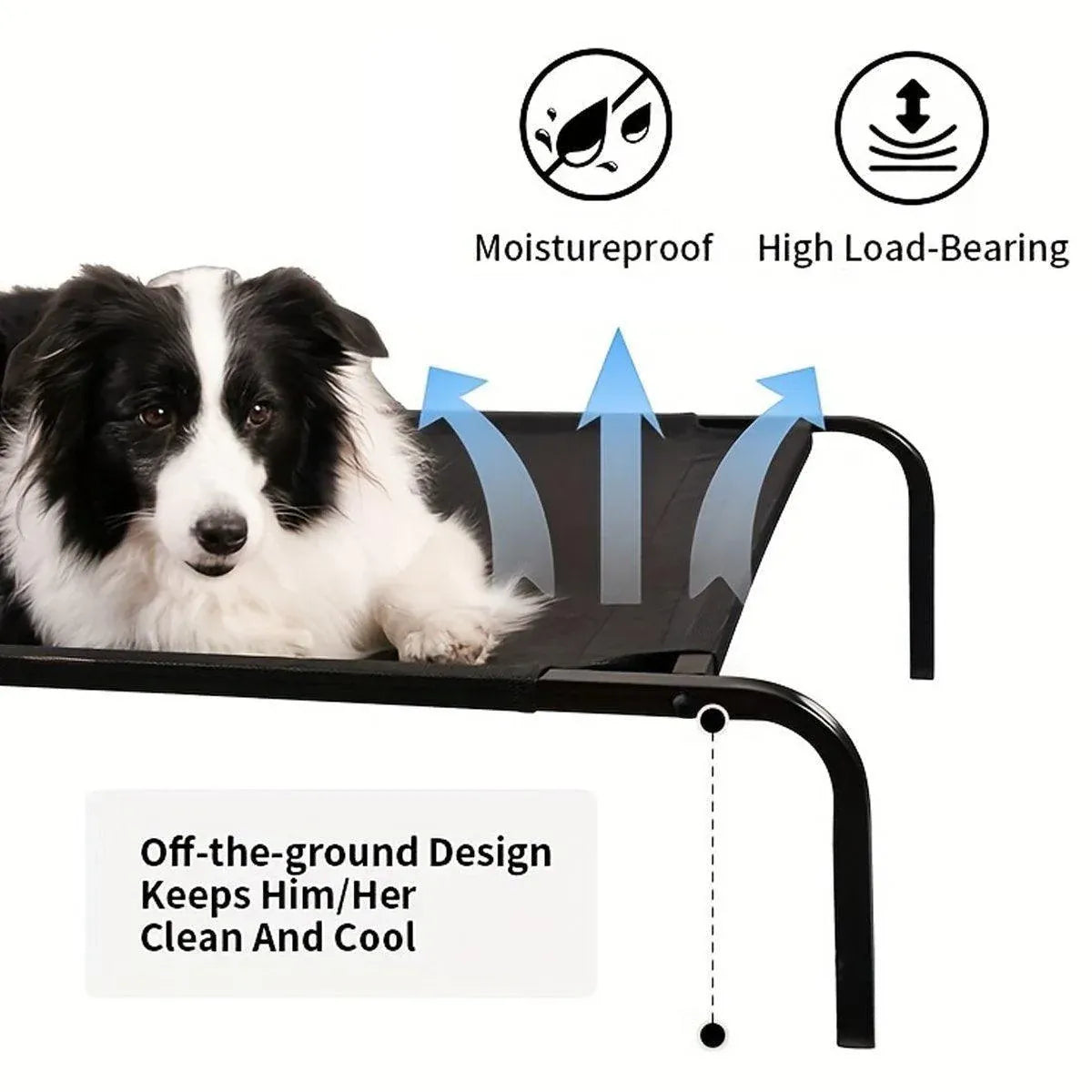 Heavy Duty Pet Raised Bed Elevated Trampoline Hammock Cat Dog Raised Deluxe - L
