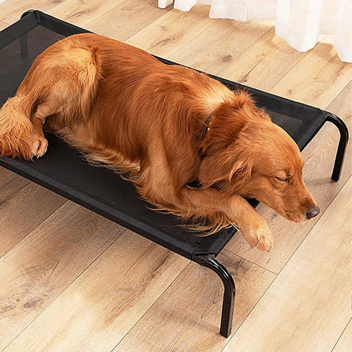 Heavy Duty Pet Raised Bed Elevated Trampoline Hammock Cat Dog Raised Deluxe - M