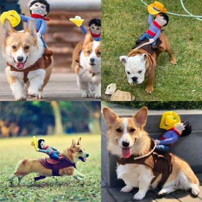 Halloween Dog Costume Pet Accessories Funny Dress Up for Small Medium Dogs - New Pirate-S
