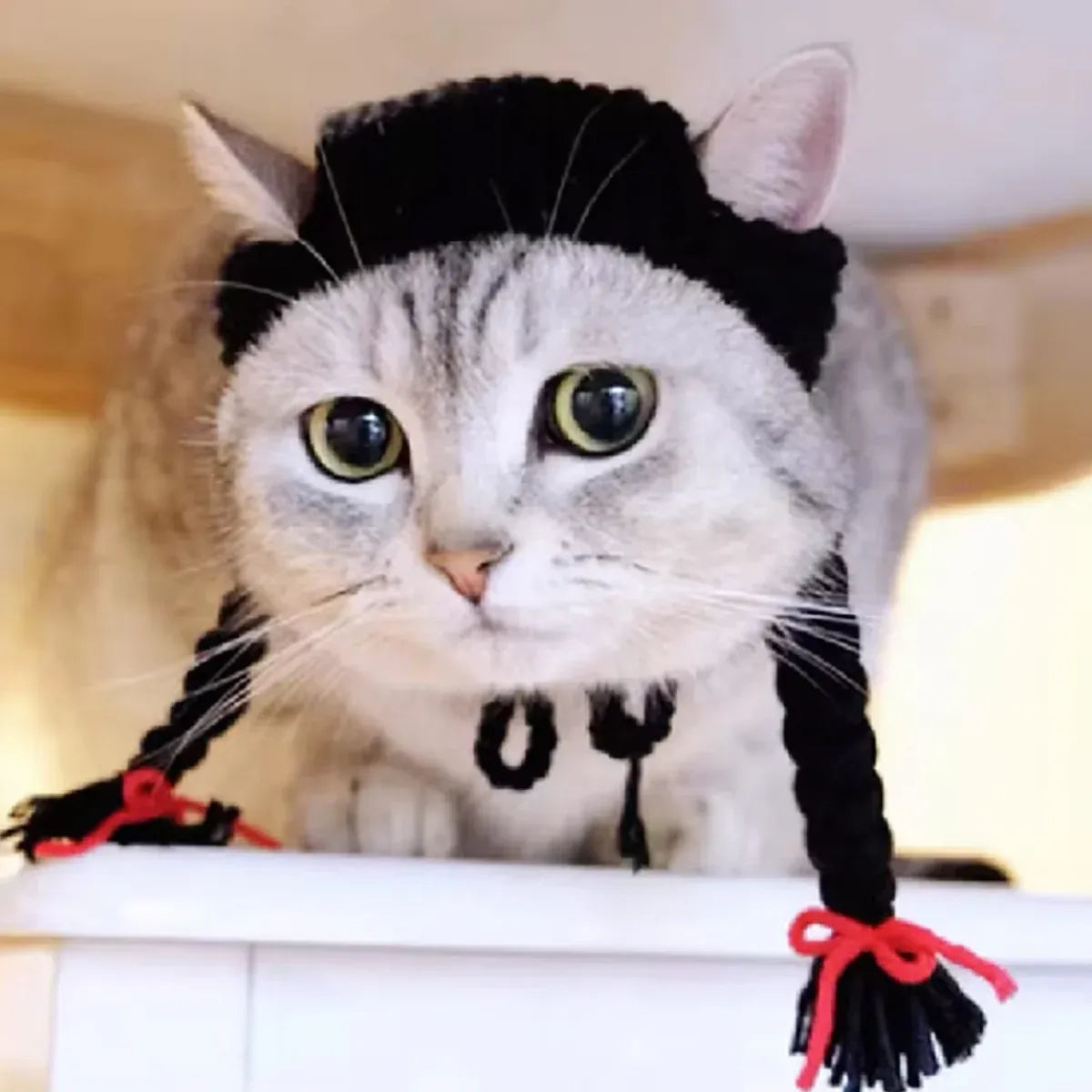 Cat Headwear Handmade Braid Hat Cat Wig Hat Cat Hair Accessory Pet Decoration - Black