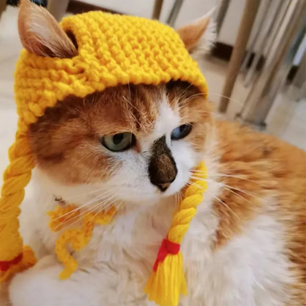 Cat Headwear Handmade Braid Hat Cat Wig Hat Cat Hair Accessory Pet Decoration - Black