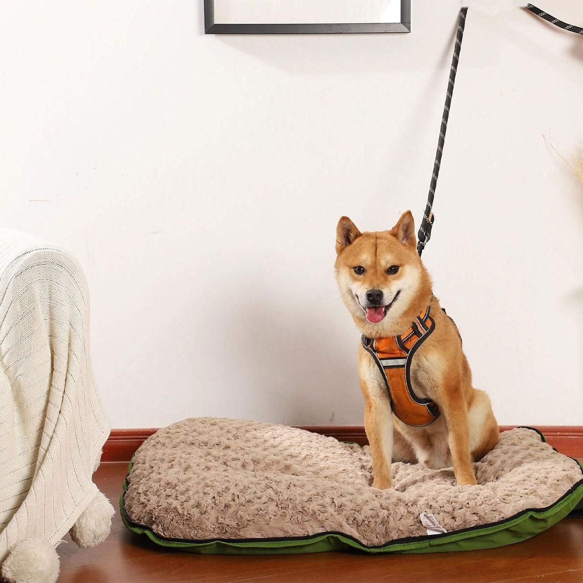 Portable Folding Pet Kennel Zippered Outdoor Dog Bed Travel Mat Waterproof - Blue Orange