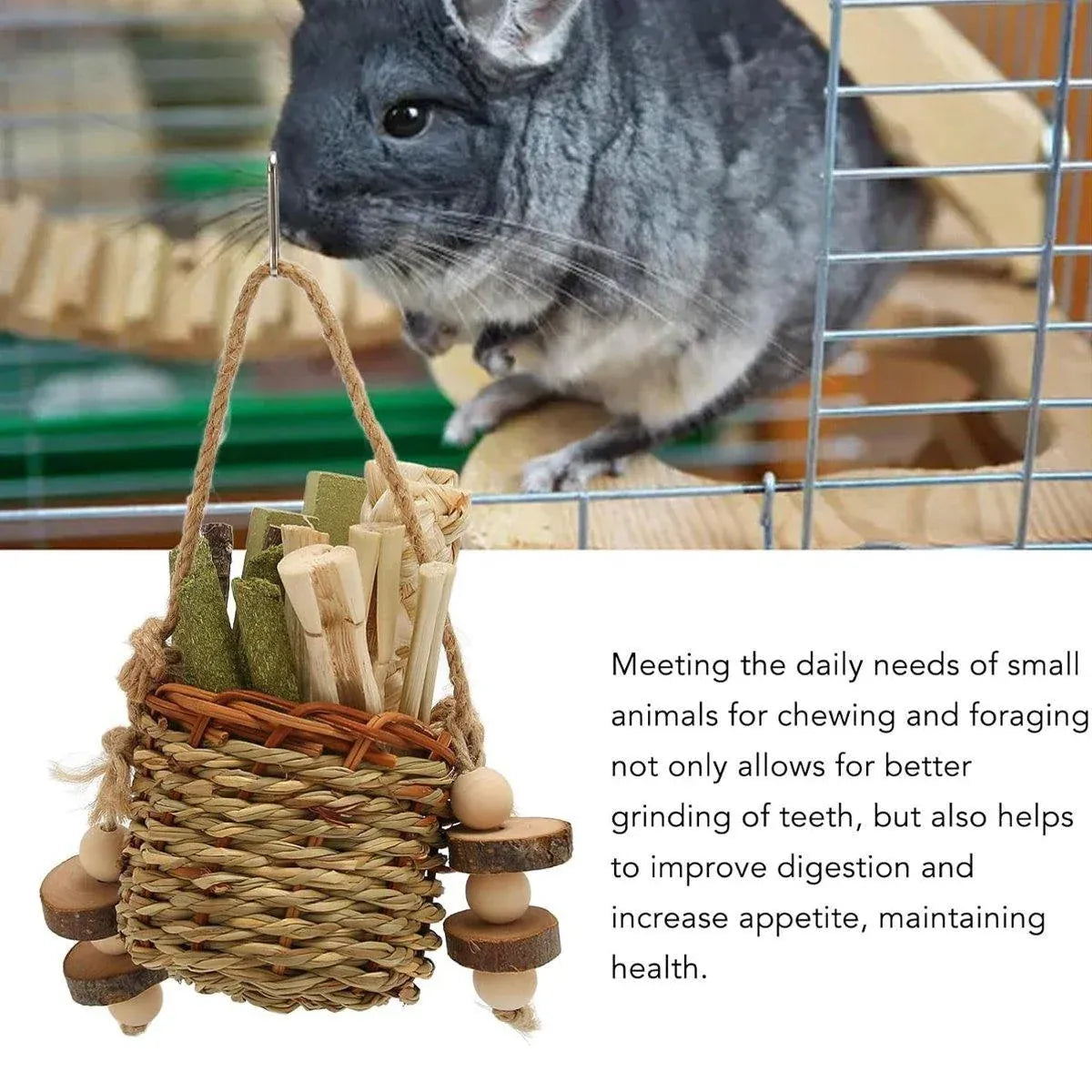 Pet Teething Stick Set Chew Toys for Hamster Dental Care Small Animal Supplies