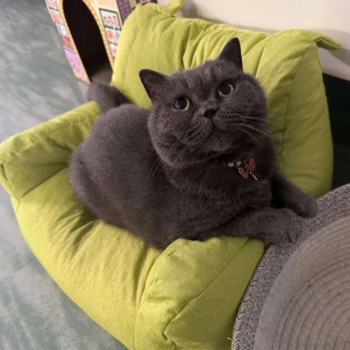 Small Sofa Chair Couch for Living Room Family Pet Furniture Comfortable Seat - Yellow