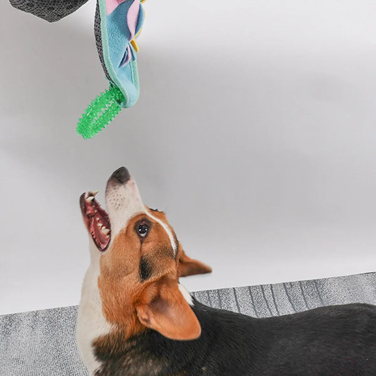 Interactive Dog Snuffle Mat Puzzle Toy Training Pad for Smell and Feeding