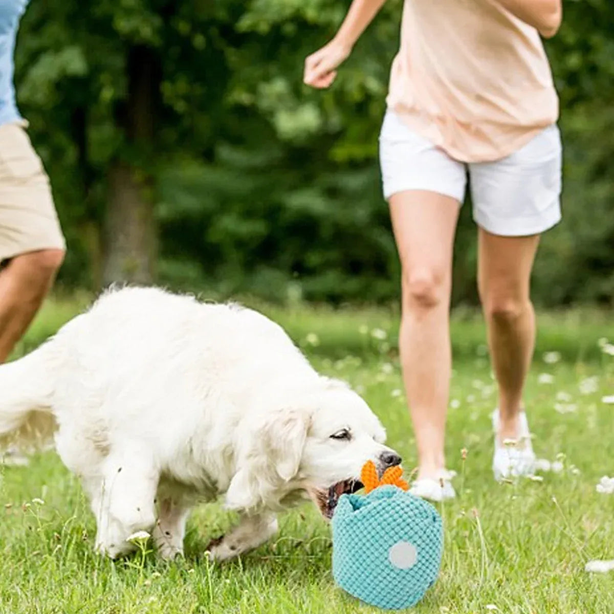 Foldable Pet Sniffing Mat Non Slip Fabric Anti Tear Durable for Dog Cat Training