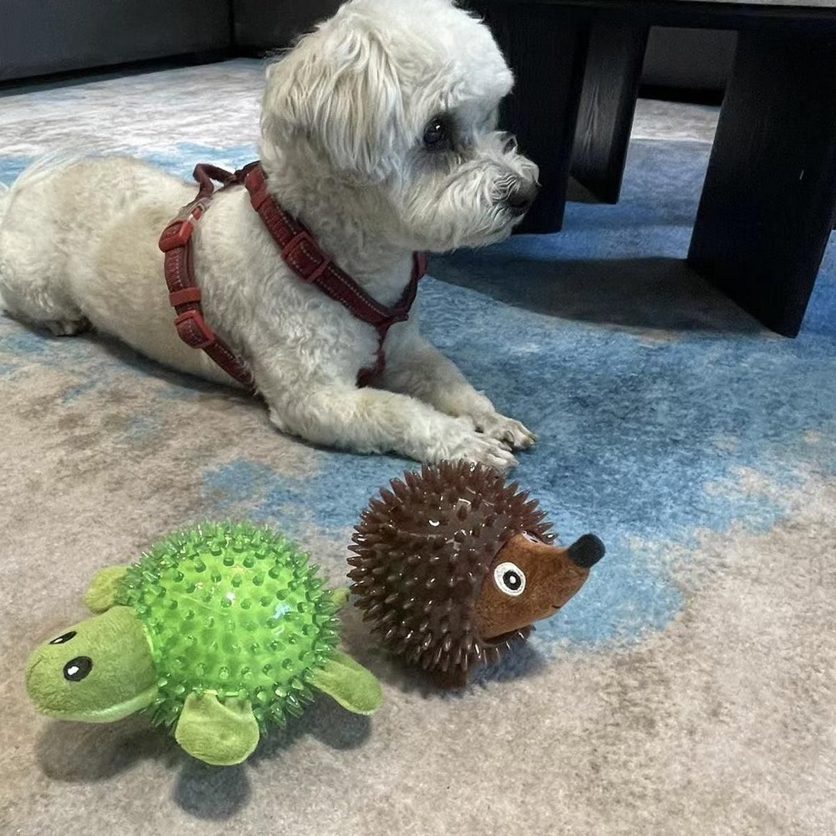 Dog Toy Rubber Spiky Ball Squeaky Chew Sound Interactive Pet Play Training - Hedgehog