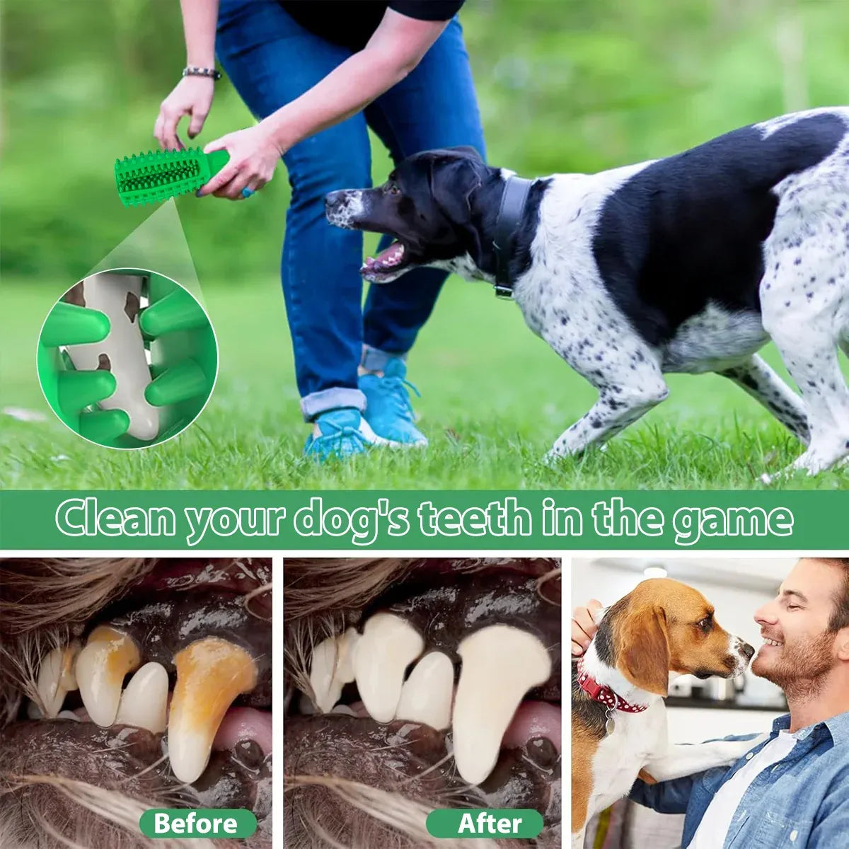 Pet Teething Sticks Dog Chew Toys Teeth Cleaning for Small Dogs Home Daily Use