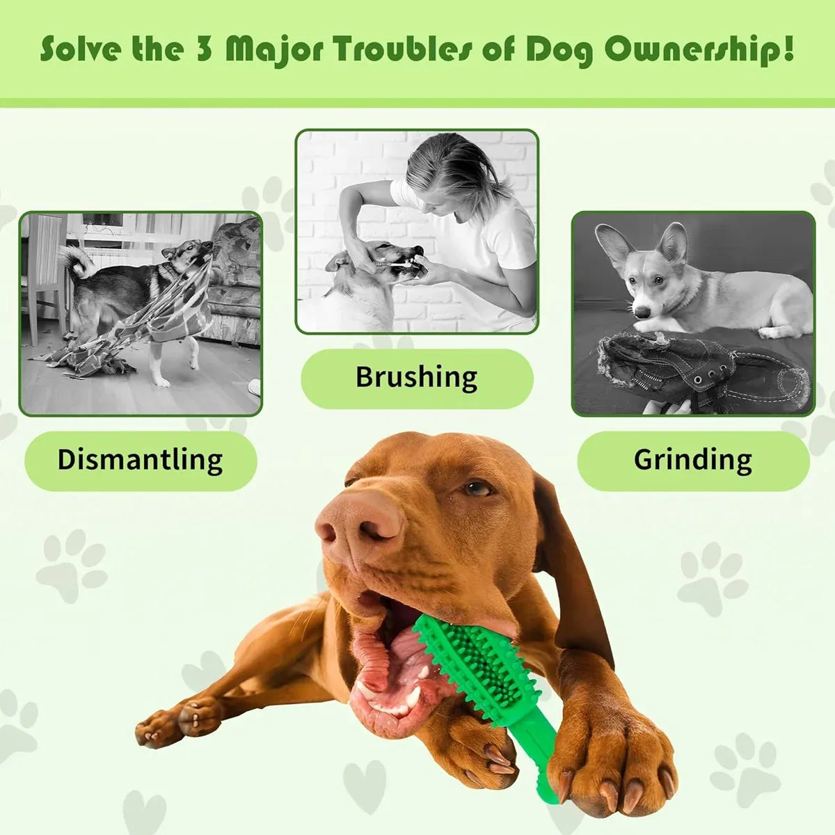 Pet Teething Sticks Dog Chew Toys Teeth Cleaning for Small Dogs Home Daily Use