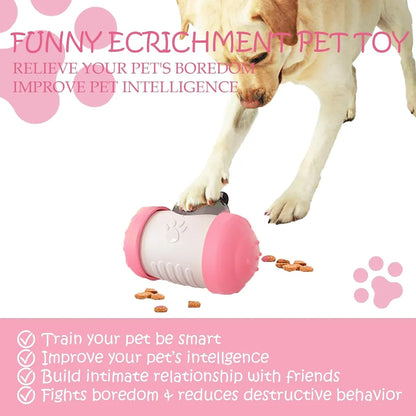Pet Swing Dispensing Toy for Dogs Chew Resistant Interactive Slow Feeding Play - Pink