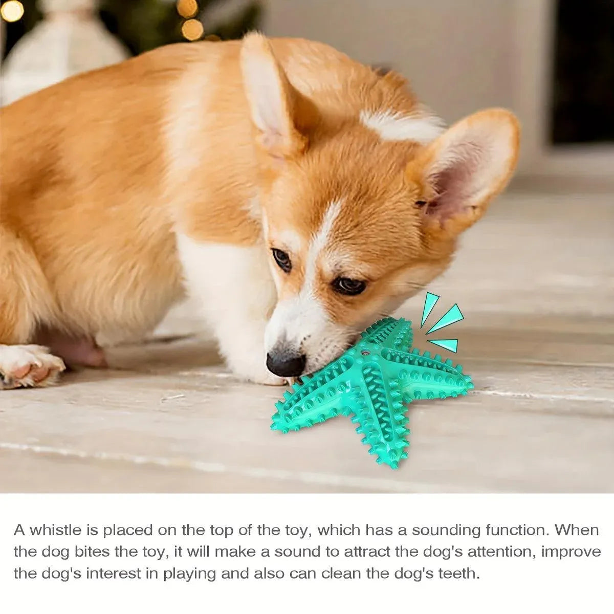 Pet Starfish Floating Dog Toy Audible Water Toy for Dogs Interactive Play Fun - Green
