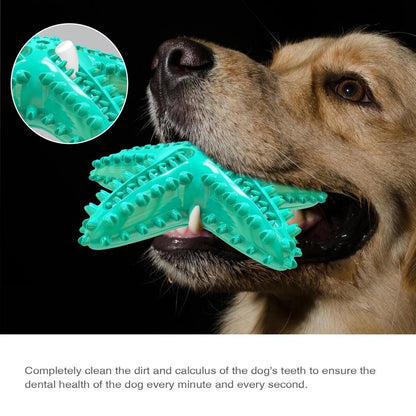 Pet Starfish Floating Dog Toy Audible Water Toy for Dogs Interactive Play Fun - Green
