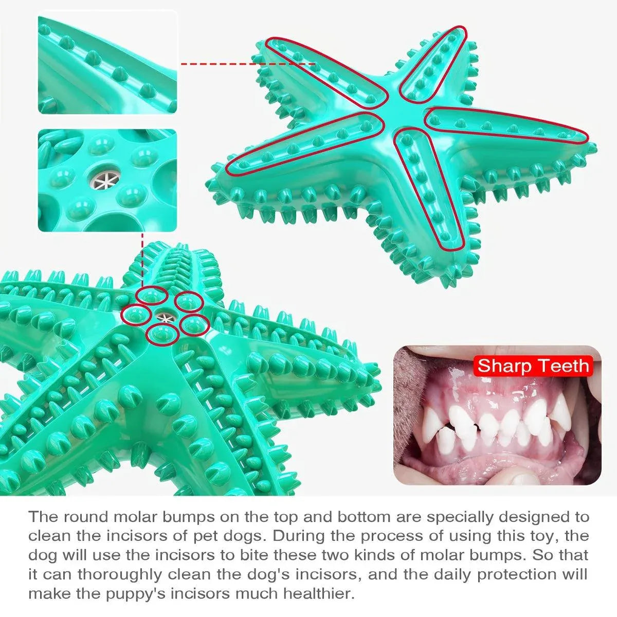 Pet Starfish Floating Dog Toy Audible Water Toy for Dogs Interactive Play Fun - Yellow