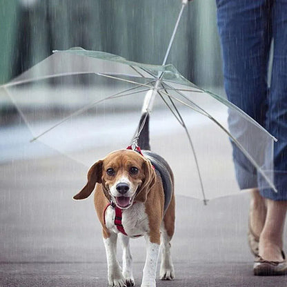 Pet Dog Transparent Umbrella 30 inch Diameter With Dog Leash For Rain Walking Outdoor