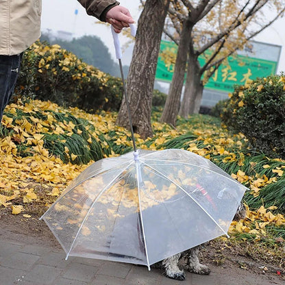 Pet Dog Transparent Umbrella 30 inch Diameter With Dog Leash For Rain Walking Outdoor