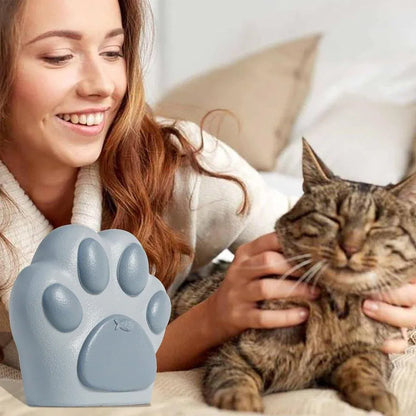 Creative Pet Urn for Cats and Dogs Animals Memorial Coffin Box Pet Supply - Dog