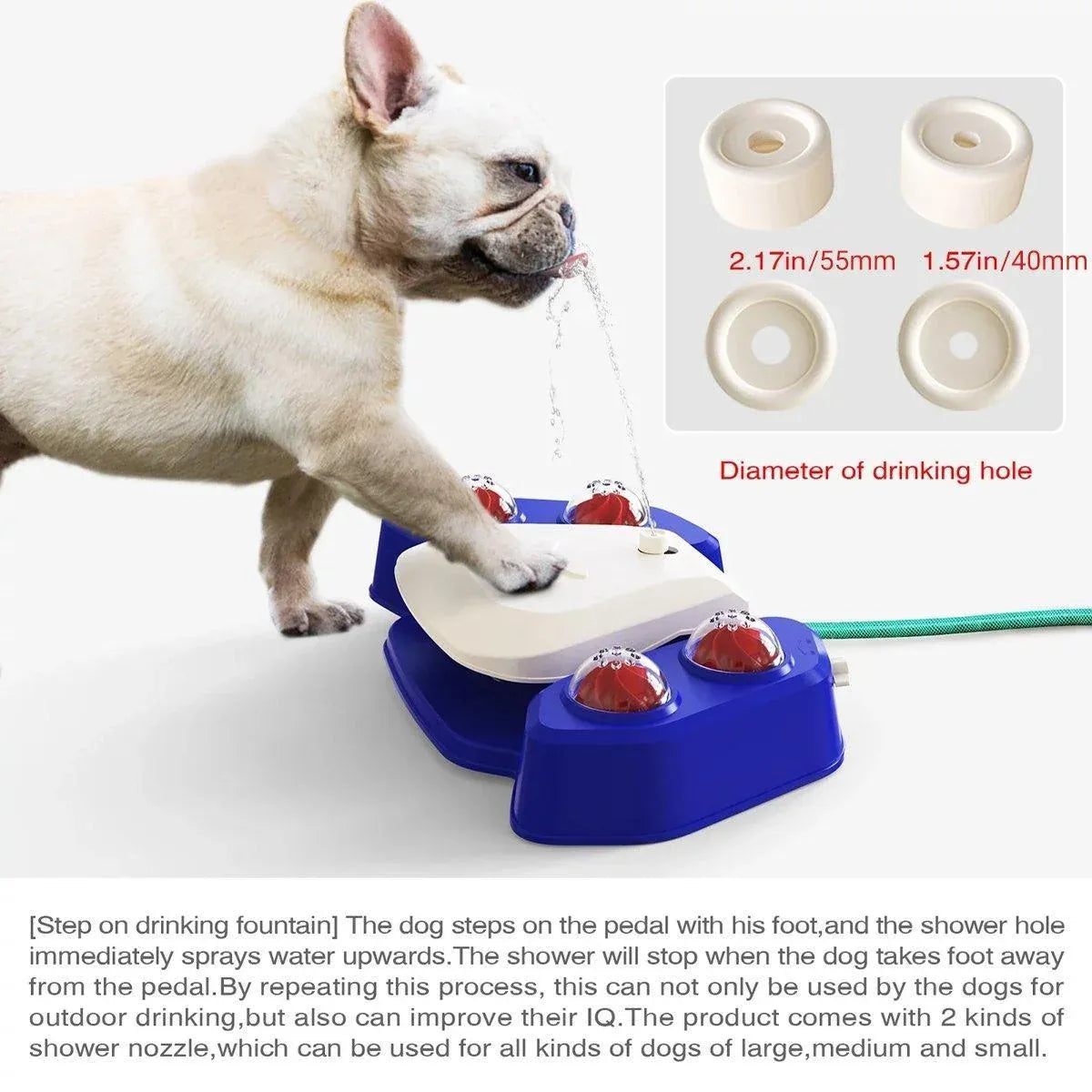 Automatic Water Feeder Dispenser with Bath Spray and Footstep Dog Toys for Pets - Blue