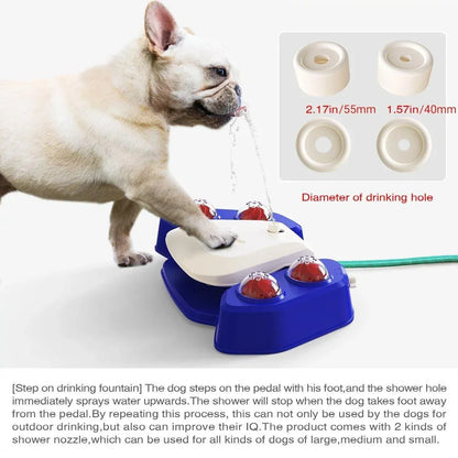Automatic Water Feeder Dispenser with Bath Spray and Footstep Dog Toys for Pets - Blue