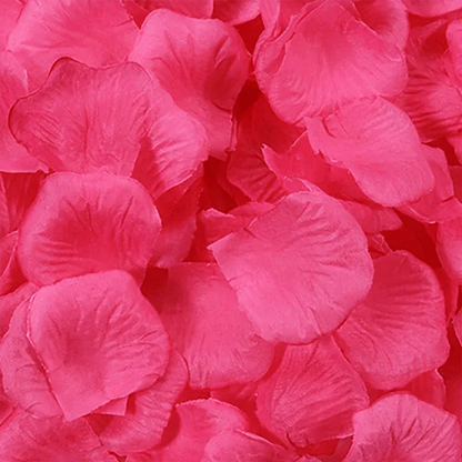 1000 PCS Silk Rose Petals Elegant Wedding or Event Decoration - Champagne