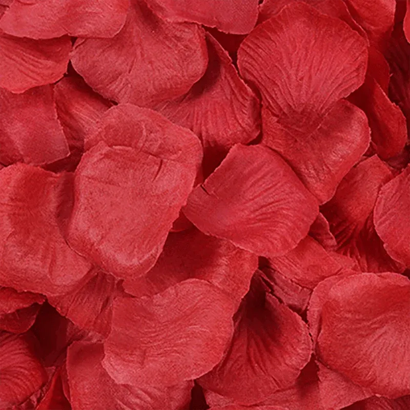 1000 PCS Silk Rose Petals Elegant Wedding or Event Decoration - Blush Pink