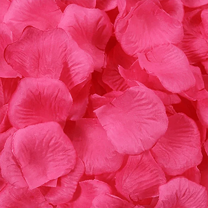 1000 PCS Silk Rose Petals Elegant Wedding or Event Decoration - Blush Pink