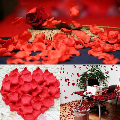 1000 PCS Silk Rose Petals Elegant Wedding or Event Decoration - Blush Pink