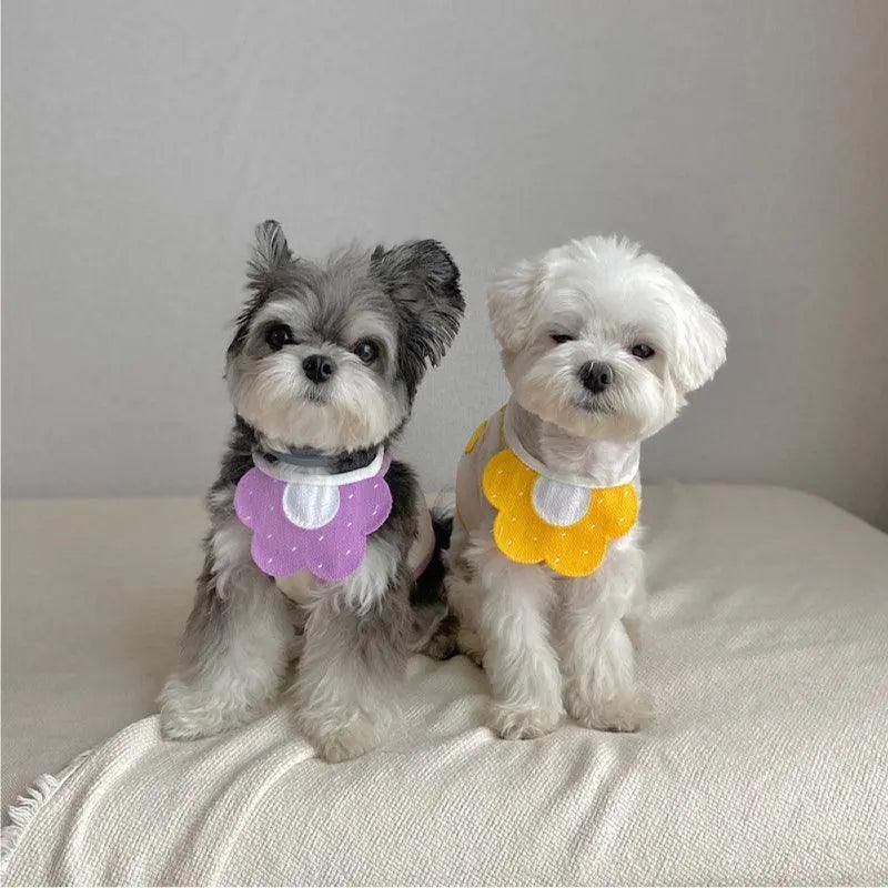 Pet Bandana Bib for Cats and Dogs Triangle Saliva Scarf for Decoration or Daily Use - Honeybee