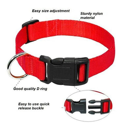 S Size Dog Puppy Pet Collar Adjustable Nylon Toy Small Pink Blue Red Black - Grey