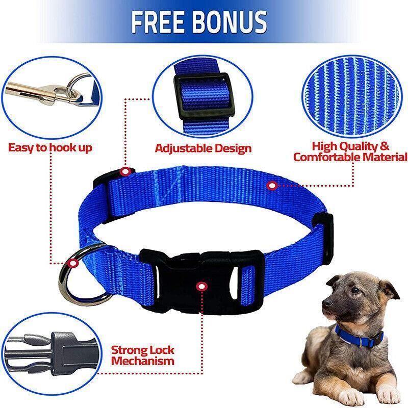 S Size Dog Puppy Pet Collar Adjustable Nylon Toy Small Pink Blue Red Black - Grey