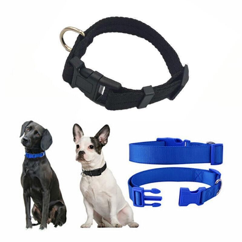 S Size Dog Puppy Pet Collar Adjustable Nylon Toy Small Pink Blue Red Black - Grey