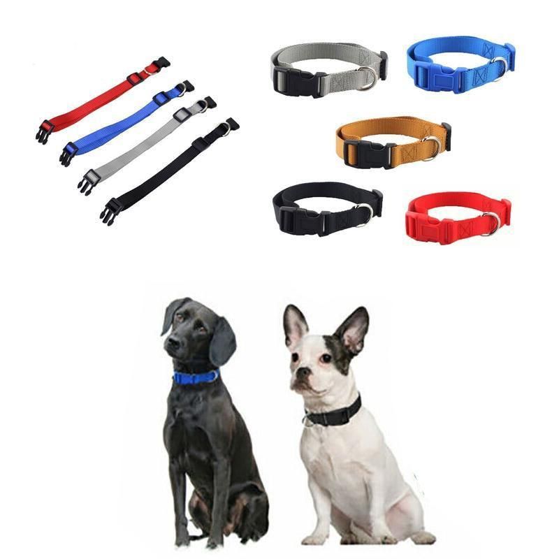 S Size Dog Puppy Pet Collar Adjustable Nylon Toy Small Pink Blue Red Black - Grey