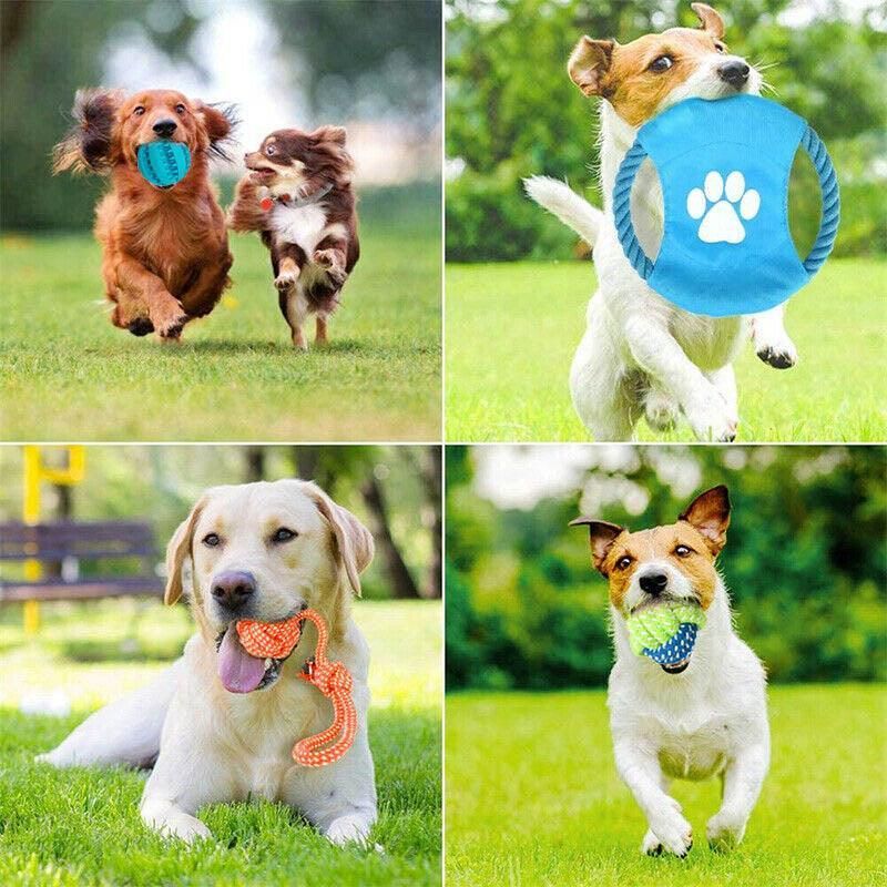 11Pcs Durable Cotton Rope Pull Teeth Clean Chew Toy Set for Dogs and Cats