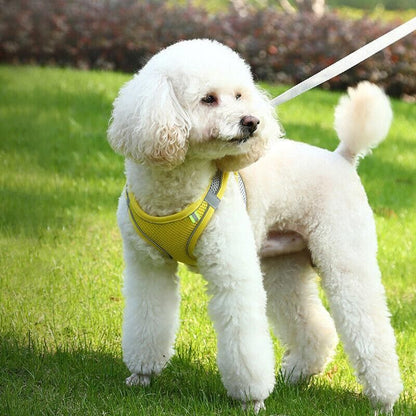 Pet Dog Harness Adjustable Reflective Breathable Outdoor Collars Strap Cat Leash Yellow - S