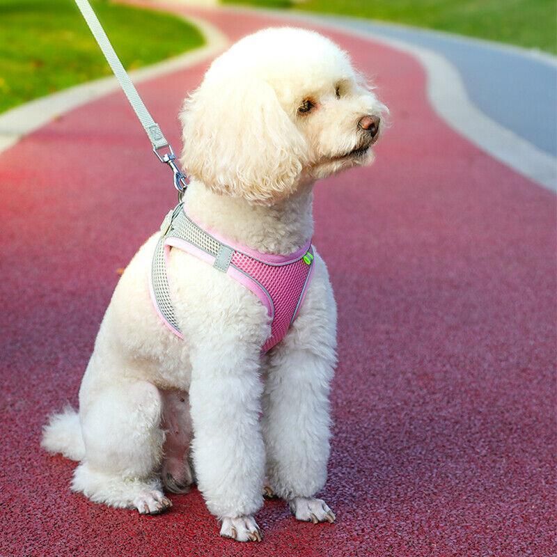 Pet Dog Harness Adjustable Reflective Breathable Outdoor Collars Strap Cat Leash Yellow - XXS