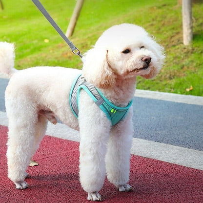 Pet Dog Harness Adjustable Reflective Breathable Outdoor Collars Strap Cat Leash Yellow - XXS