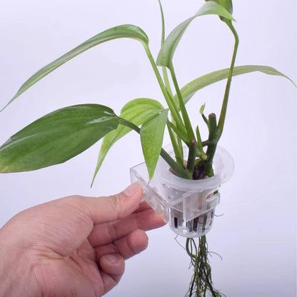 Adjustable Wall Mounted Aquatic Plant Cup for Emersed Plants Water Grass Holder
